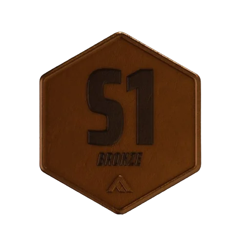 S1 Bronze Sticker The Finals
